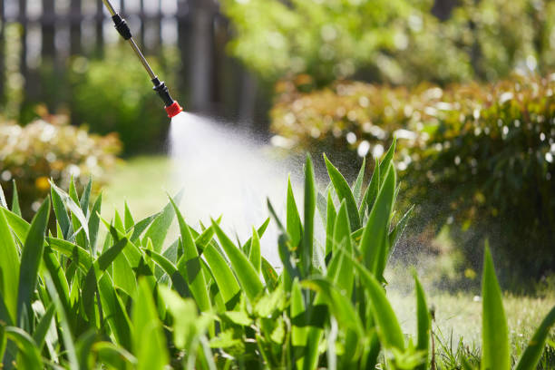 24/7 Emergency Fumigation Services experts in Raymore, MO