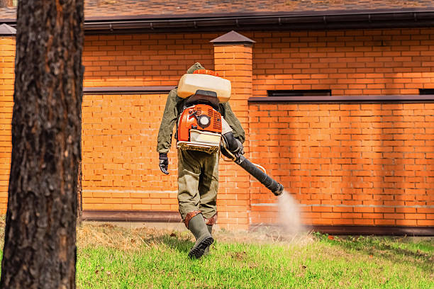 Top rated local Fumigation Services specialists in Raymore, MO